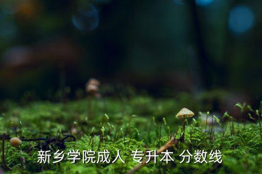 新鄉(xiāng)學院成人 專升本 分數線