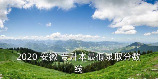 安徽成人專升本成績(jī)查詢,2022成人專升本成績(jī)查詢