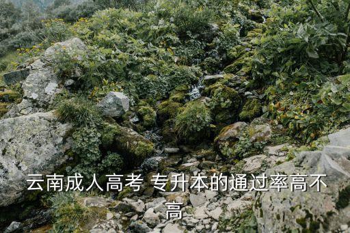 云南專(zhuān)升本難不難考,云南學(xué)前教育專(zhuān)升本難不難