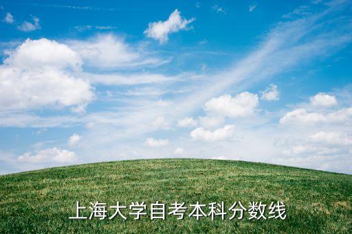  上海大學(xué)自考本科分?jǐn)?shù)線
