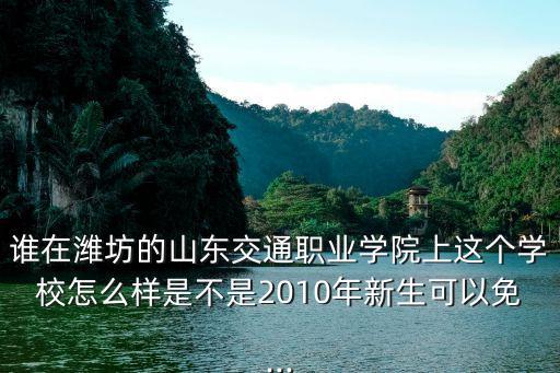 考駕照還是專升本,又要準備專升本又要考駕照