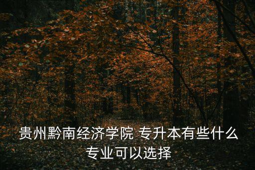  貴州黔南經(jīng)濟(jì)學(xué)院 專(zhuān)升本有些什么 專(zhuān)業(yè)可以選擇