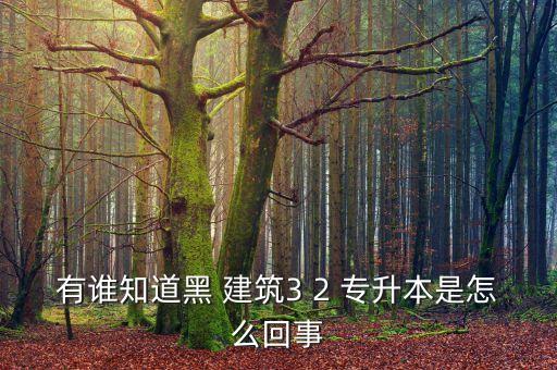 有誰(shuí)知道黑 建筑3 2 專升本是怎么回事