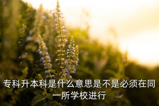 ?？粕究剖鞘裁匆馑际遣皇潜仨氃谕凰鶎W(xué)校進(jìn)行