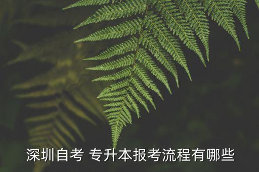  深圳自考 專(zhuān)升本報(bào)考流程有哪些