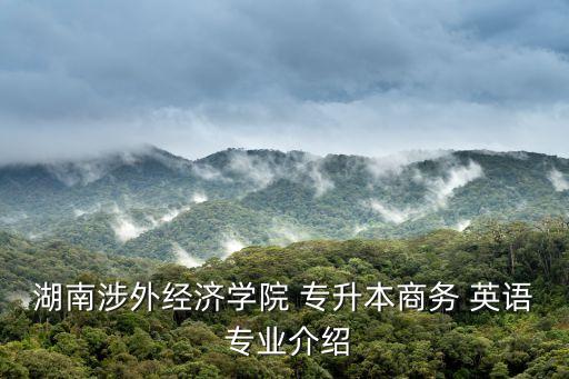 湖南涉外經(jīng)濟學院 專升本商務(wù) 英語 專業(yè)介紹