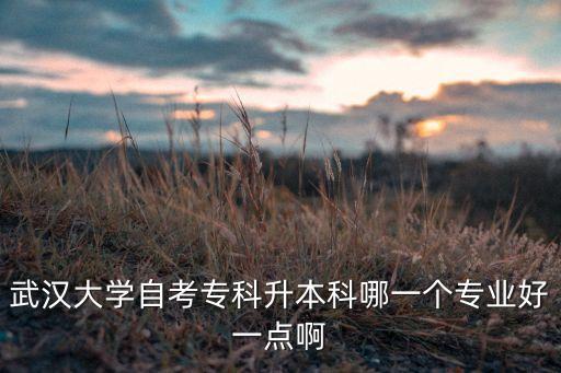 武大可以專升本嗎,武大專升本在哪個校區(qū)