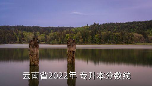  云南省2022年 專(zhuān)升本分?jǐn)?shù)線