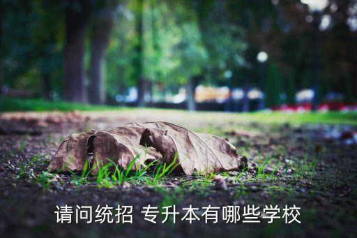 請(qǐng)問(wèn)統(tǒng)招 專升本有哪些學(xué)校