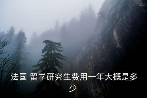  法國 留學(xué)研究生費(fèi)用一年大概是多少