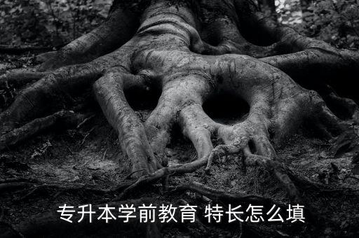 專升本報(bào)名表特長