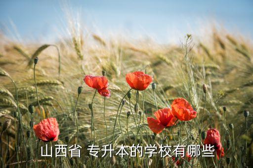  山西省 專升本的學(xué)校有哪些