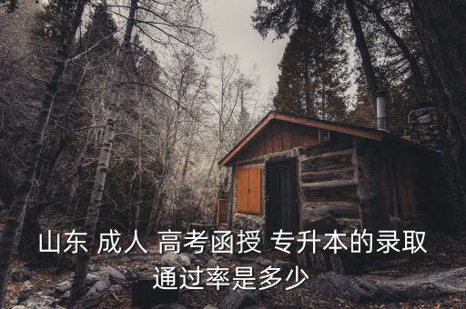 山東 成人 高考函授 專升本的錄取通過(guò)率是多少