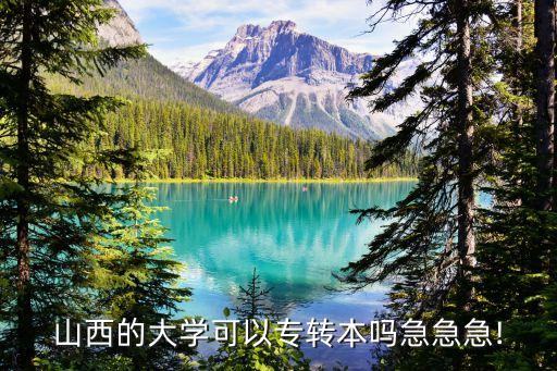 山大商務學院專升本,太原山大商務學院是幾本