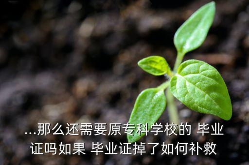 ...那么還需要原專科學(xué)校的 畢業(yè)證嗎如果 畢業(yè)證掉了如何補(bǔ)救