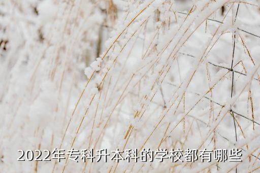 2022年專科升本科的學(xué)校都有哪些