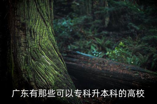 廣東有那些可以?？粕究频母咝? class=