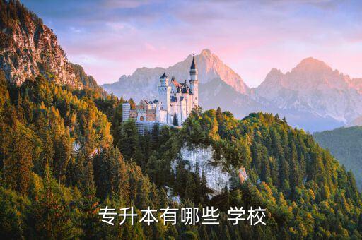  專升本有哪些 學校
