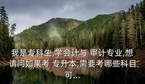 專升本審計(jì)重點(diǎn),大數(shù)據(jù)與審計(jì)專升本考什么