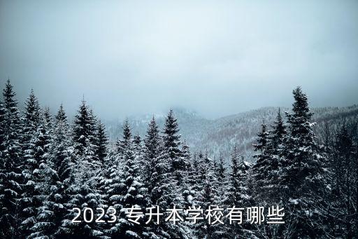 2023 專(zhuān)升本學(xué)校有哪些