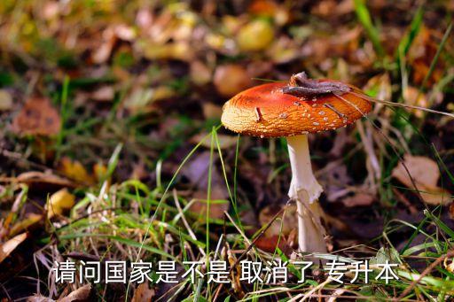 專升本考試會(huì)被取消嗎,國家會(huì)取消專升本考試嗎