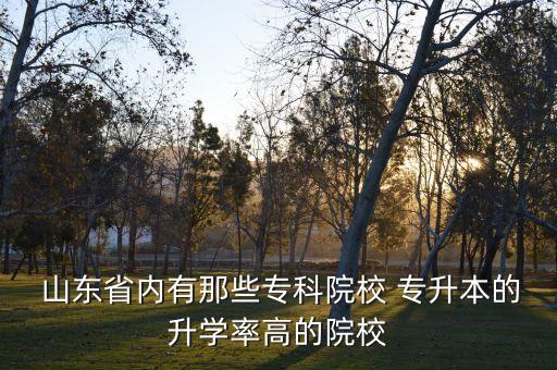  山東省內(nèi)有那些?？圃盒?專升本的升學(xué)率高的院校