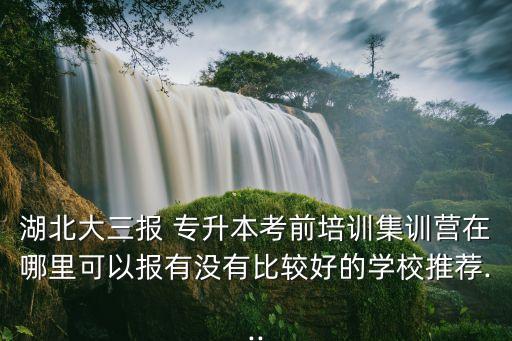 湖北大三報 專升本考前培訓集訓營在哪里可以報有沒有比較好的學校推薦...
