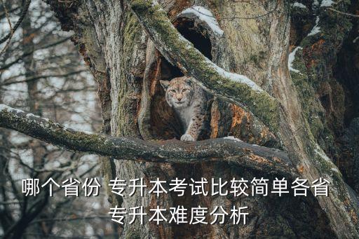 哪個(gè)省份 專升本考試比較簡單各省 專升本難度分析