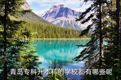  青島?？粕究频膶W校都有哪些呢
