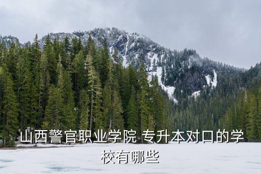 山西專(zhuān)升本師院