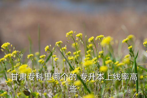  甘肅?？评锬膫€(gè)的 專升本上線率高些