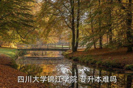  四川大學(xué)錦江學(xué)院 專升本難嗎