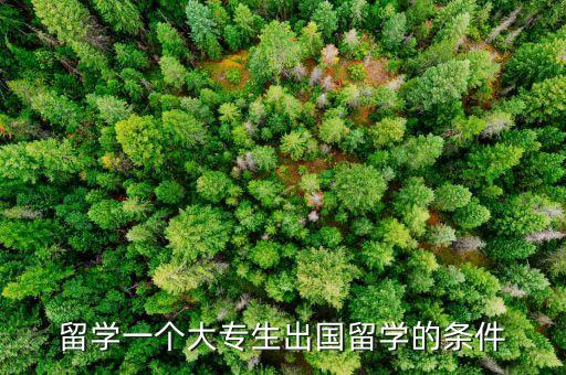 留學一個大專生出國留學的條件