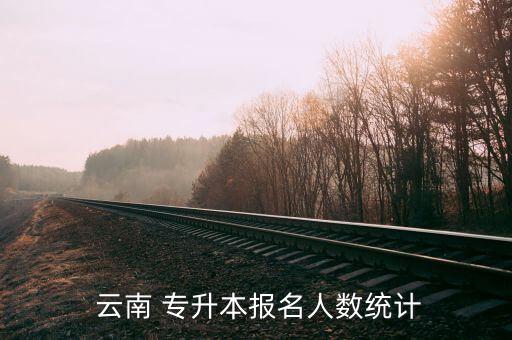  云南 專升本報名人數(shù)統(tǒng)計
