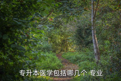 專(zhuān)升本在本科大學(xué)有哪些專(zhuān)業(yè)嗎,山東省可以專(zhuān)升本的本科大學(xué)有哪些