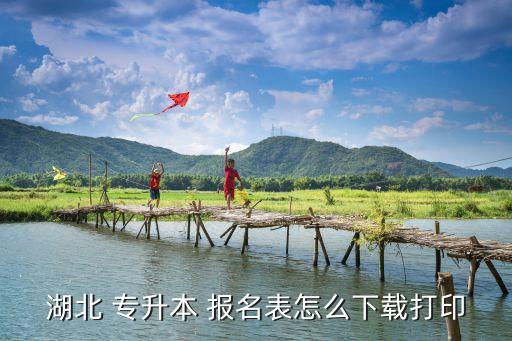 湖北 專(zhuān)升本 報(bào)名表怎么下載打印