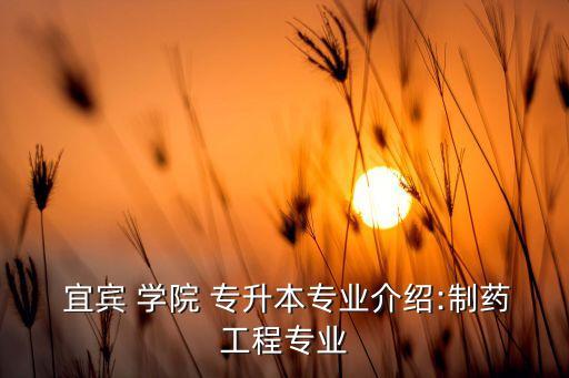  宜賓 學院 專升本專業(yè)介紹:制藥工程專業(yè)