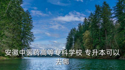 安徽中醫(yī)藥高等專(zhuān)科學(xué)校 專(zhuān)升本可以去哪