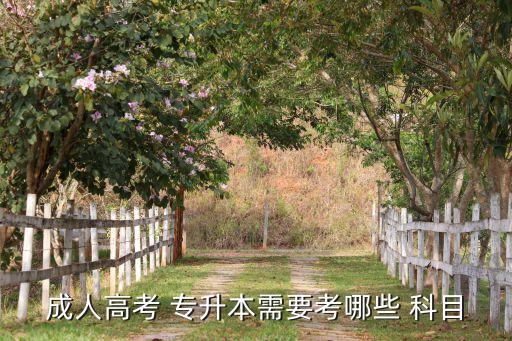 成人高考 專(zhuān)升本需要考哪些 科目