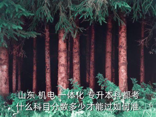  山東 機(jī)電 一體化 專升本科都考什么科目分?jǐn)?shù)多少才能過如何準(zhǔn)