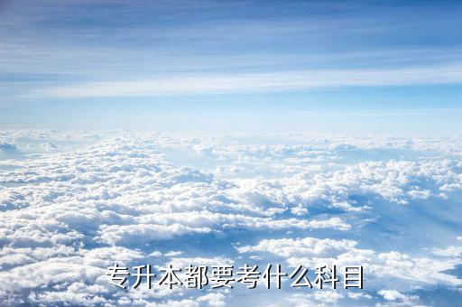 專升本必備教程,安徽專升本語(yǔ)文必備