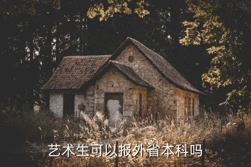 藝術(shù)生可以報(bào)外省本科嗎