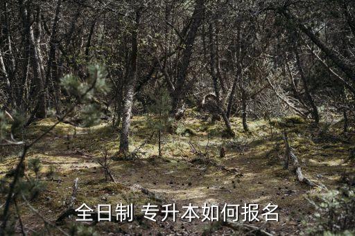 全日制 專升本如何報名
