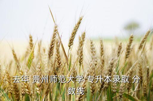 去年 貴州師范大學 專升本錄取 分數(shù)線