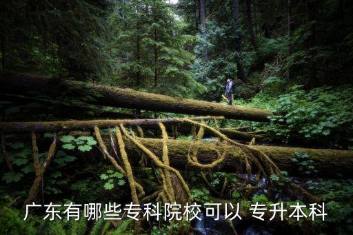 廣東有哪些?？圃盒？梢?專升本科