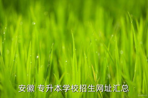 安徽 專升本學校招生網(wǎng)址匯總