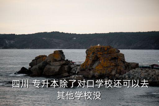  四川 專升本除了對(duì)口學(xué)校還可以去其他學(xué)校沒