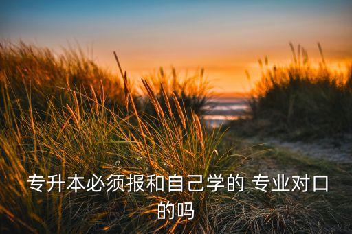  專升本必須報和自己學的 專業(yè)對口的嗎