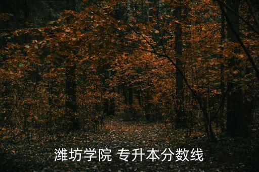 濰坊學院 專升本分數(shù)線