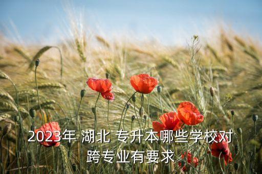 2023年 湖北 專(zhuān)升本哪些學(xué)校對(duì)跨專(zhuān)業(yè)有要求